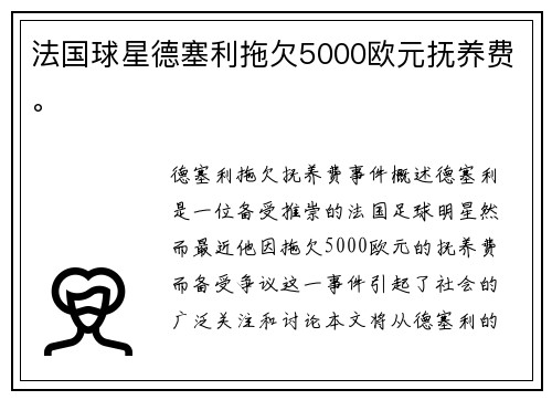 法国球星德塞利拖欠5000欧元抚养费。